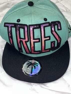 BLVD Kids Mint Green and Black 'TREES' Snapback with Pink-Purple Lettering
